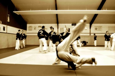 hapki-normandie.jpg