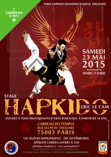 paris-hapkido-stage-au-carreau-du-temple.jpg