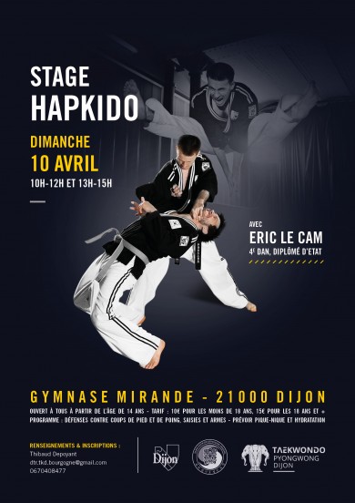 stage-hapkido-dijon.jpg