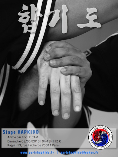 stage-hapkido-paris-dimanche-5-mai.jpg